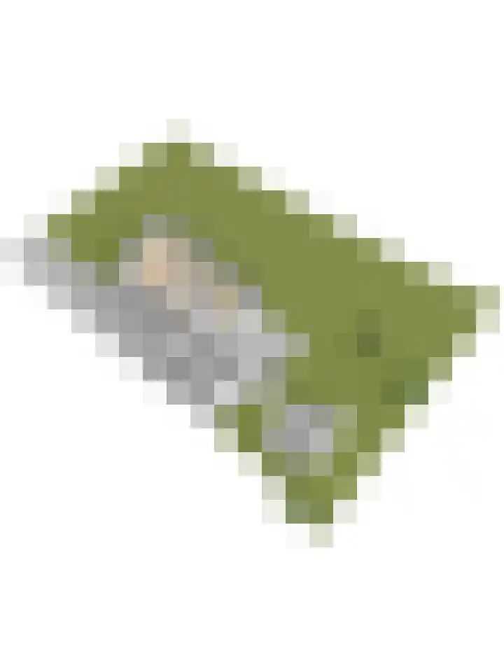 Wetterbies 21 Koudum thumbnail 43