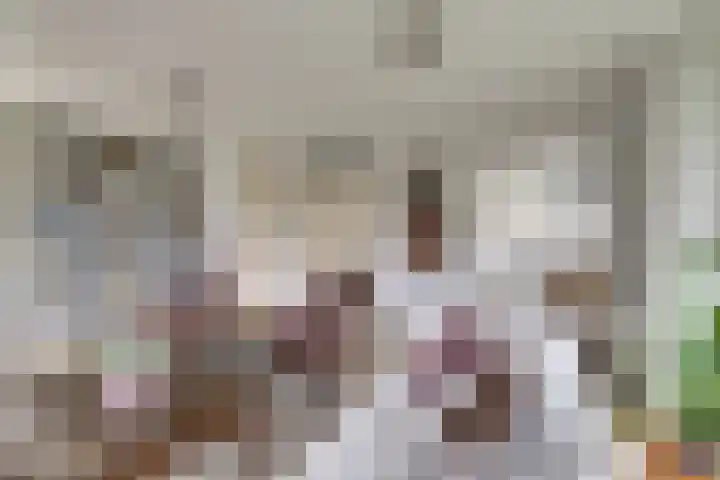Wetterbies 21 Koudum thumbnail 7