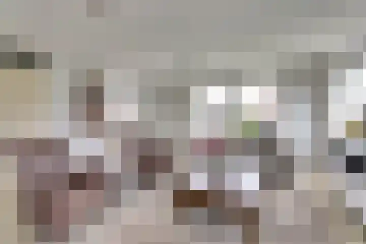 Wetterbies 21 Koudum thumbnail 8
