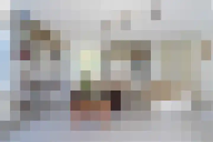 Wetterbies 30 Koudum thumbnail 11