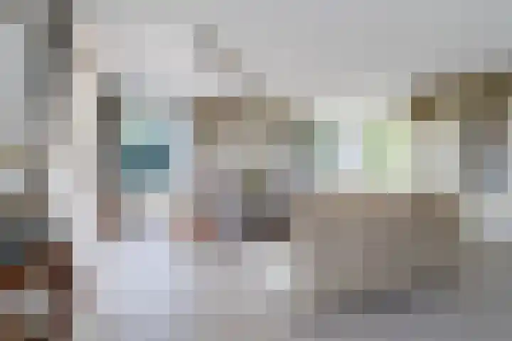 Wetterbies 30 Koudum thumbnail 15