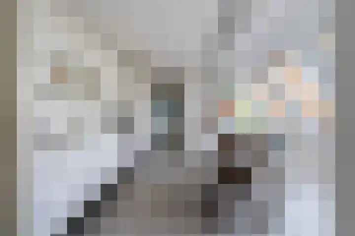 Wetterbies 30 Koudum thumbnail 16