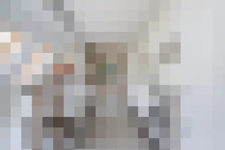 Wetterbies 30 Koudum thumbnail 17