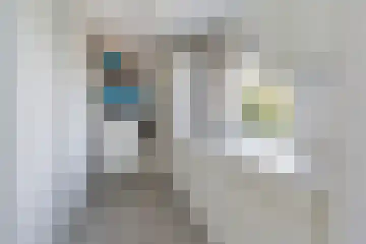 Wetterbies 30 Koudum thumbnail 19