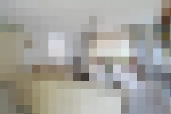 Wetterbies 30 Koudum thumbnail 21