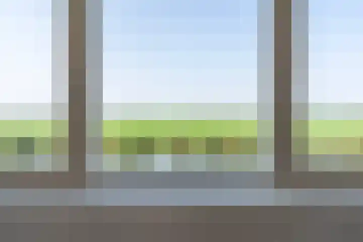 Wetterbies 30 Koudum thumbnail 25