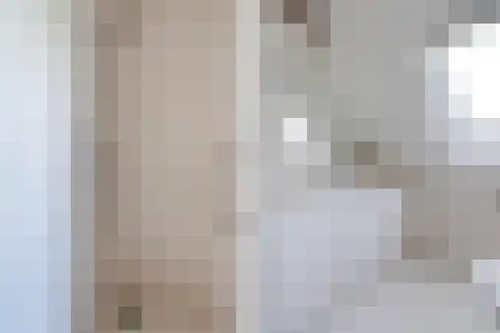 Wetterbies 30 Koudum thumbnail 27