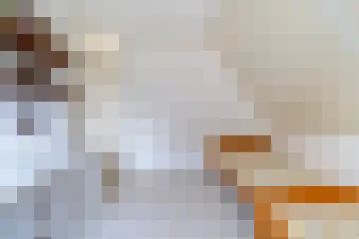 Wetterbies 30 Koudum thumbnail 29
