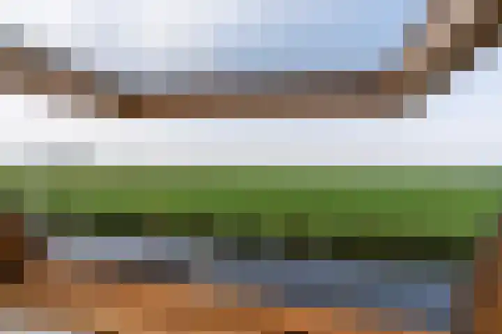 Wetterbies 30 Koudum thumbnail 33