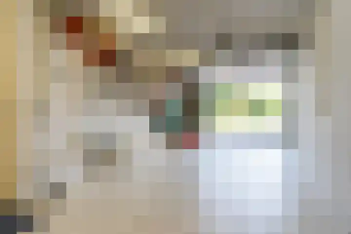 Wetterbies 30 Koudum thumbnail 35