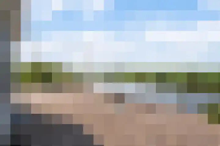 Wetterbies 30 Koudum thumbnail 36
