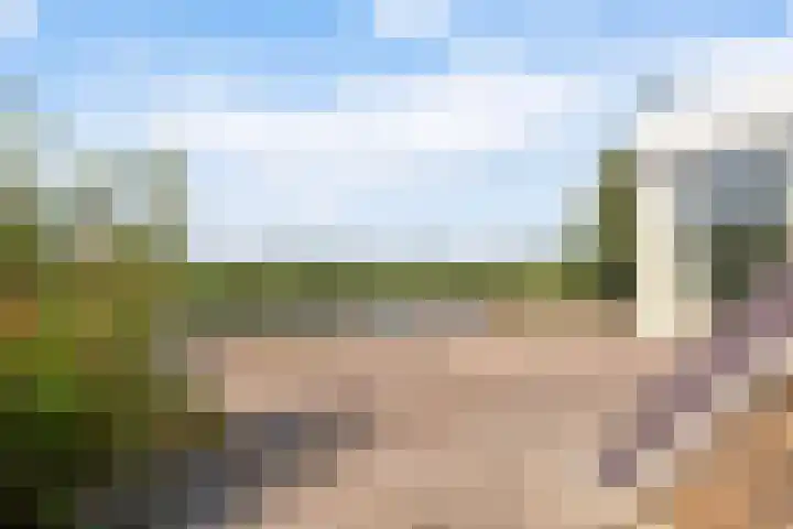 Wetterbies 30 Koudum thumbnail 37