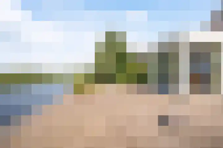 Wetterbies 30 Koudum thumbnail 38