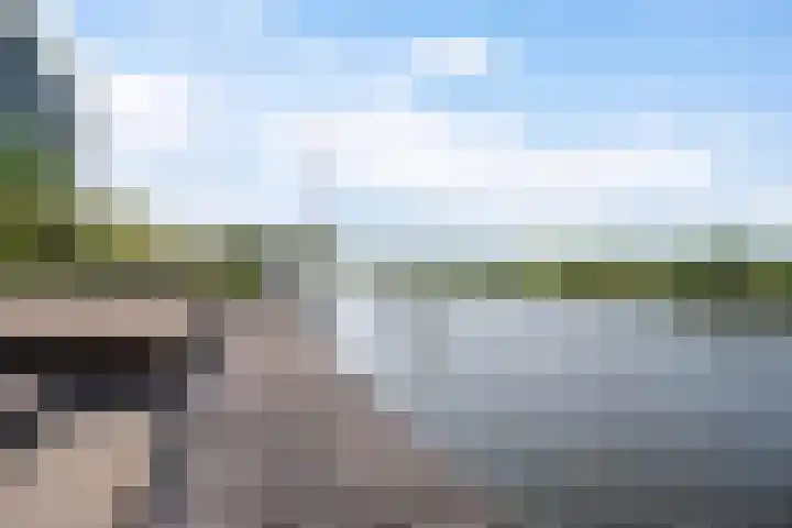 Wetterbies 30 Koudum thumbnail 39