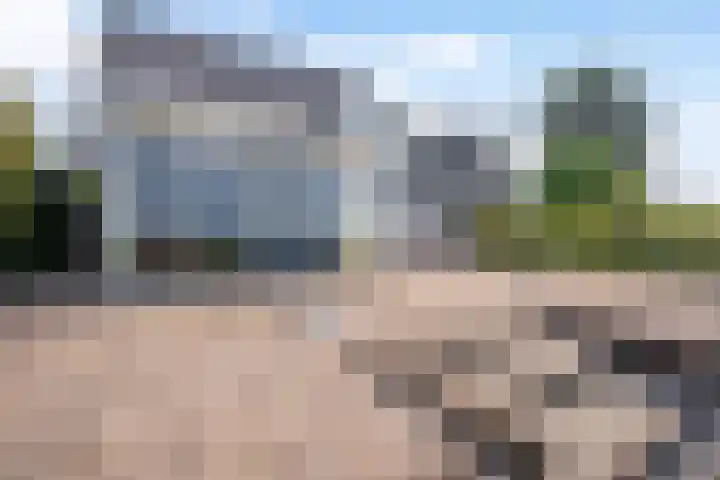 Wetterbies 30 Koudum thumbnail 41