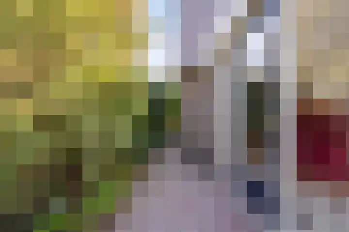 Wetterbies 30 Koudum thumbnail 42
