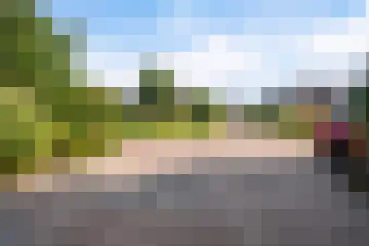 Wetterbies 30 Koudum thumbnail 43