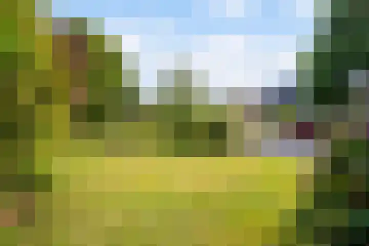 Wetterbies 30 Koudum thumbnail 44