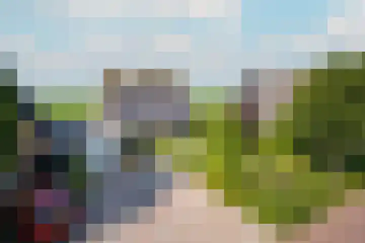 Wetterbies 30 Koudum thumbnail 45