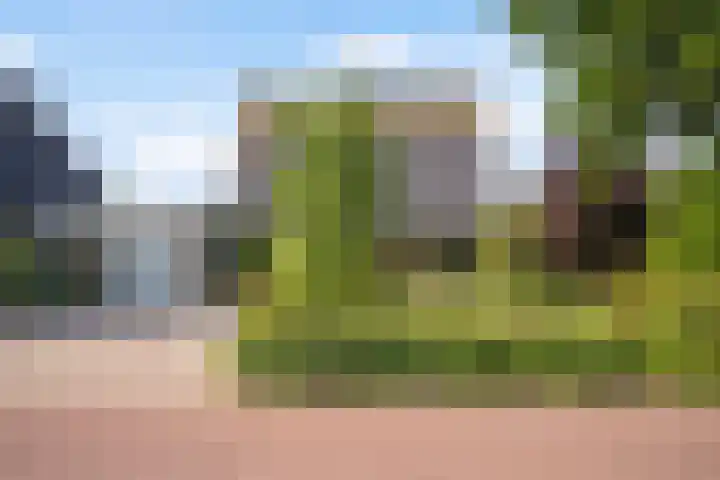 Wetterbies 30 Koudum thumbnail 46