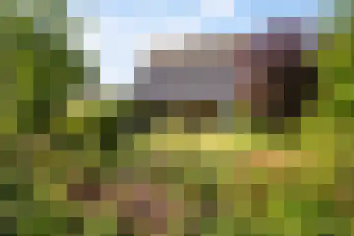 Wetterbies 30 Koudum thumbnail 47