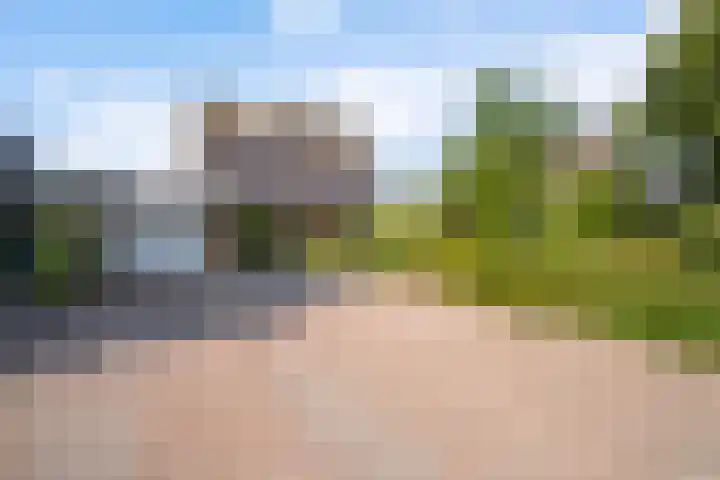Wetterbies 30 Koudum thumbnail 48
