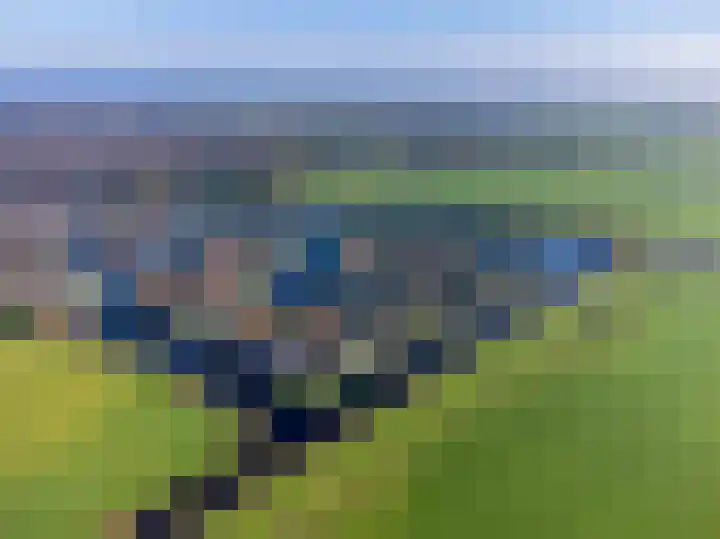 Wetterbies 30 Koudum thumbnail 49