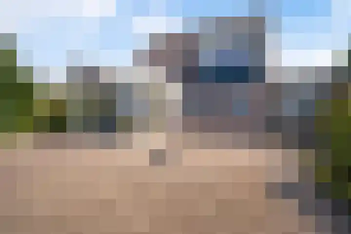 Wetterbies 30 Koudum thumbnail 5