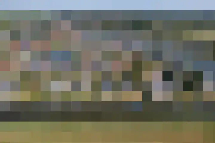 Wetterbies 30 Koudum thumbnail 52