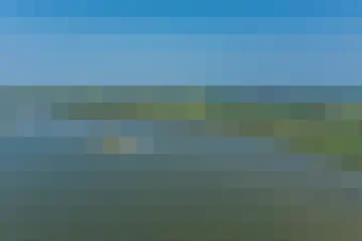 Wetterbies 30 Koudum thumbnail 54