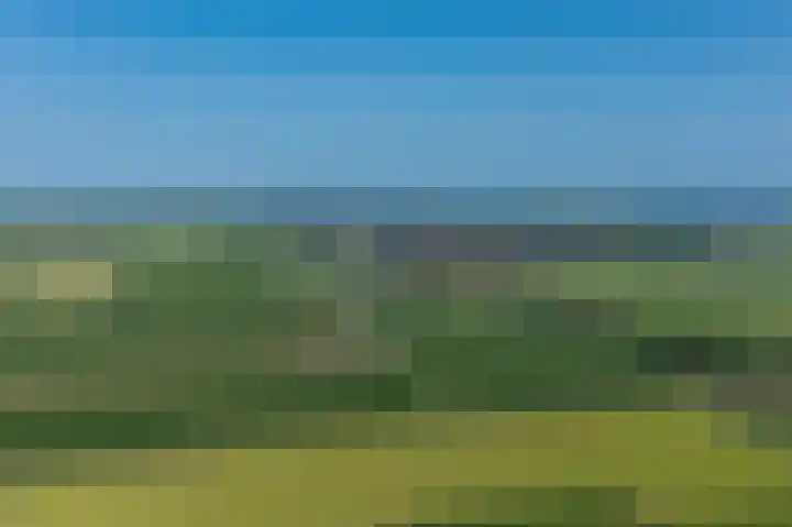Wetterbies 30 Koudum thumbnail 55