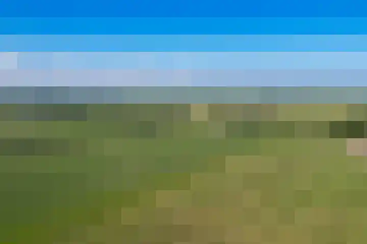Wetterbies 30 Koudum thumbnail 56