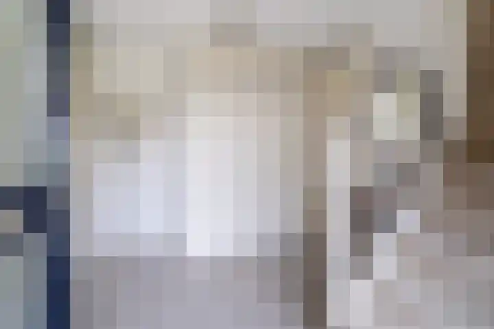 Wetterbies 30 Koudum thumbnail 6