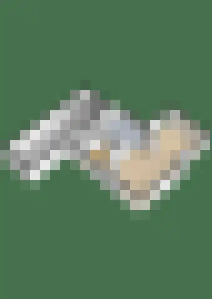 Wetterbies 30 Koudum thumbnail 60