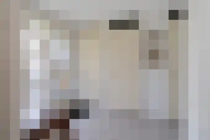 Wetterbies 30 Koudum thumbnail 7