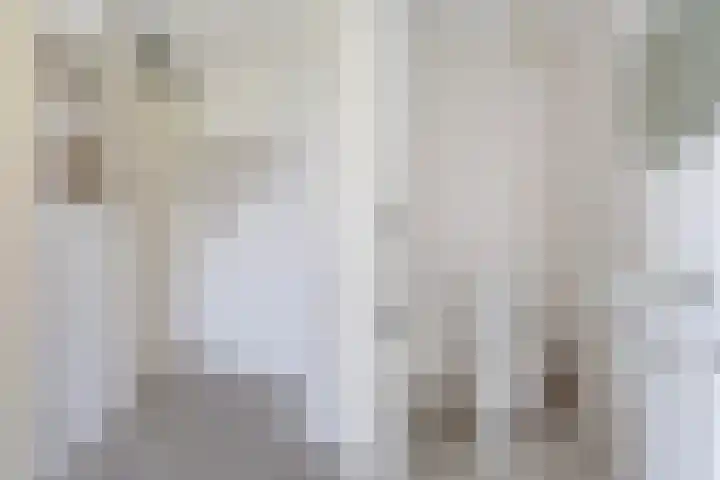 Wetterbies 30 Koudum thumbnail 8