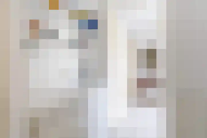 Wetterbies 30 Koudum thumbnail 9