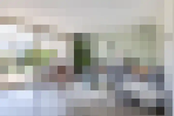 Wetterkrite 22 Goutum thumbnail 16