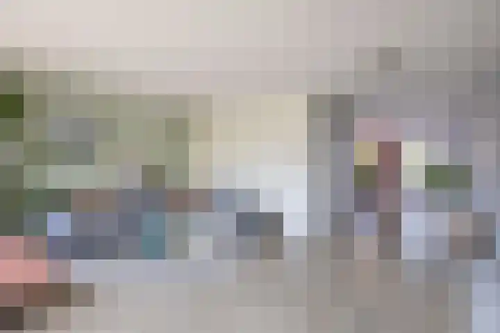 Wetterkrite 22 Goutum thumbnail 17