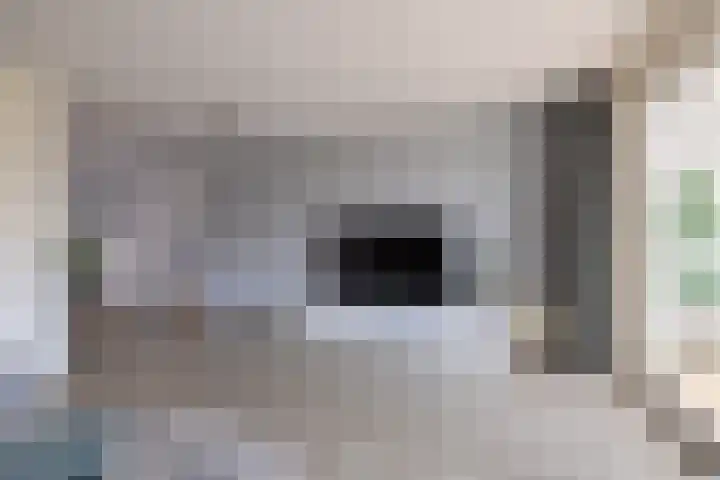 Wetterkrite 22 Goutum thumbnail 18
