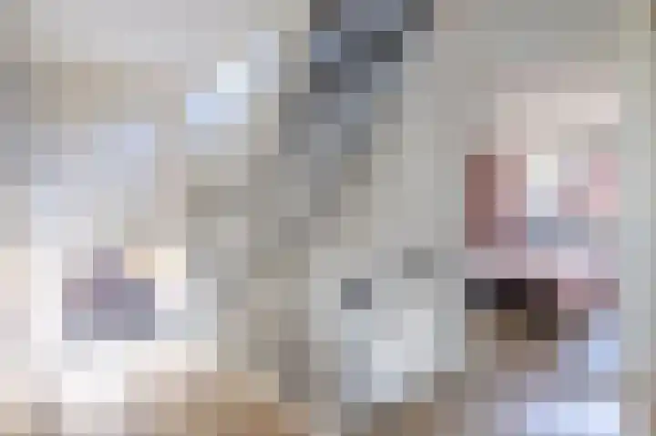 Wetterkrite 22 Goutum thumbnail 25
