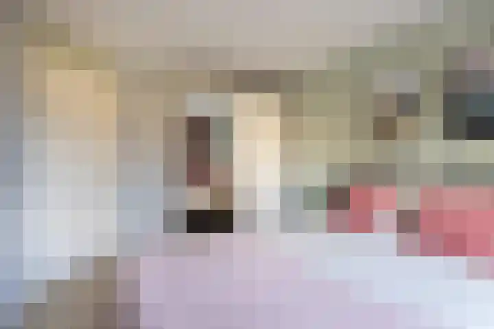 Wetterkrite 22 Goutum thumbnail 28
