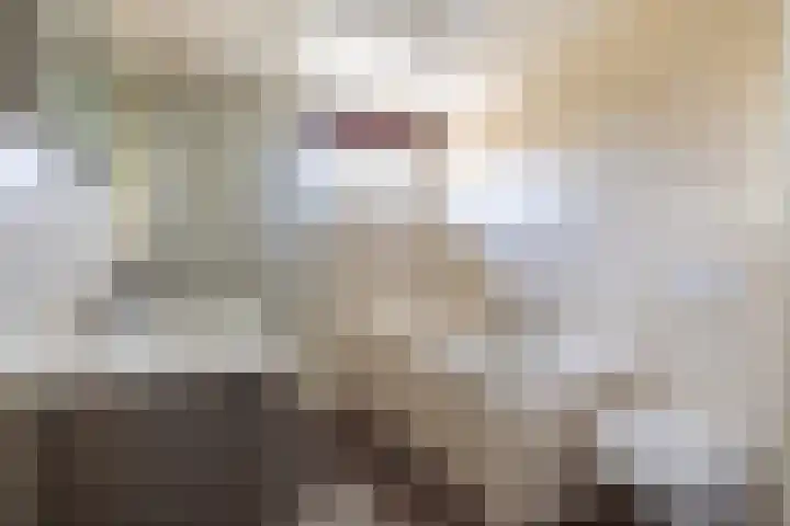 Wetterkrite 22 Goutum thumbnail 35
