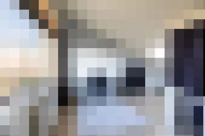 Wetterkrite 22 Goutum thumbnail 38