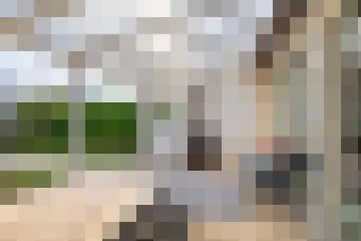 Wetterkrite 22 Goutum thumbnail 45
