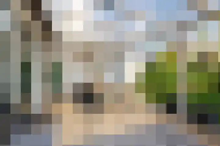 Wetterkrite 22 Goutum thumbnail 47