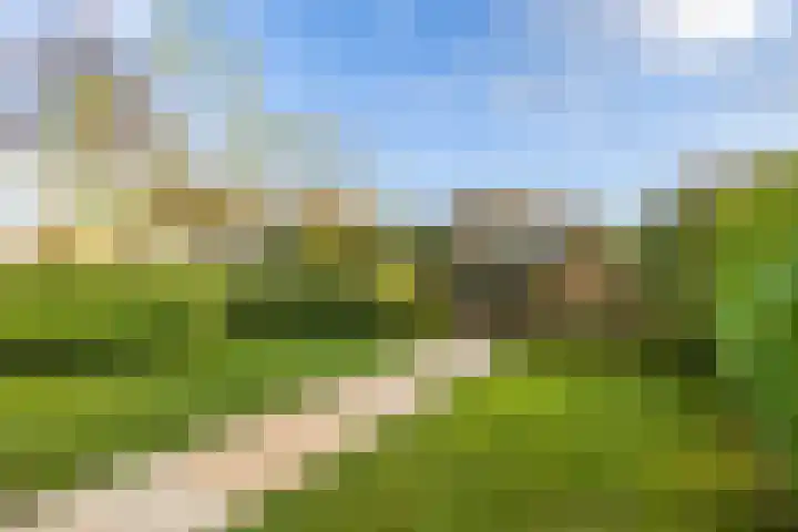 Wetterkrite 22 Goutum thumbnail 49