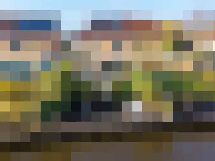 Wetterkrite 22 Goutum thumbnail 5