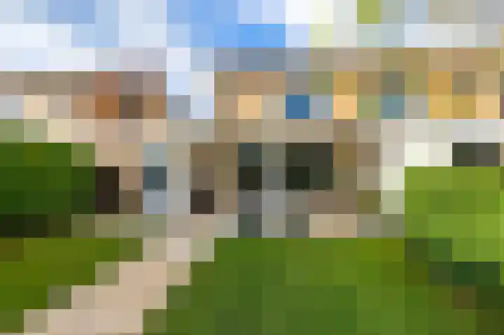 Wetterkrite 22 Goutum thumbnail 51
