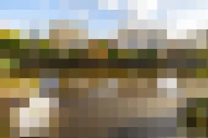 Wetterkrite 22 Goutum thumbnail 52